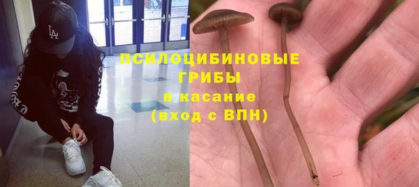 герыч Арсеньев
